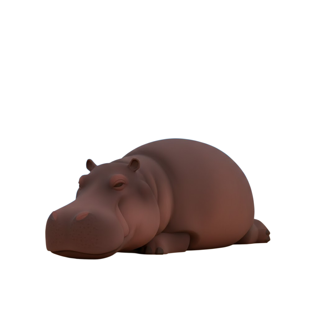Hippo resting